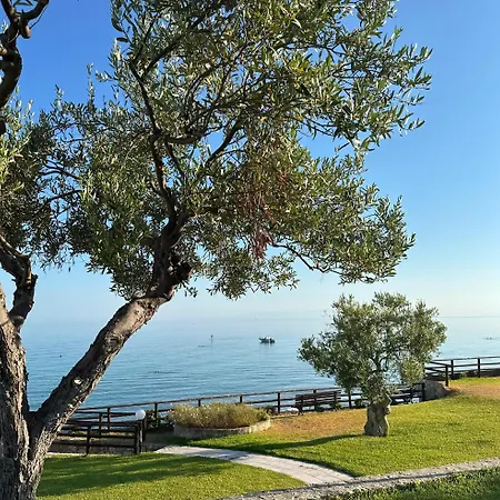 Seaview Mesidrili *